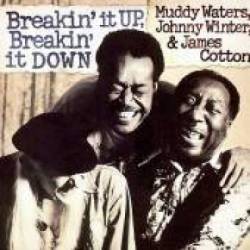 Muddy Waters : Breakin' It Up, Breakin' It Down